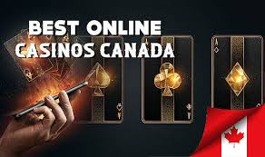 Top 5 Online Casinos You Must Try in 2023 Top 5 Online Casinos You Must Try in 2023